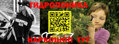 2c-b Партизанск
