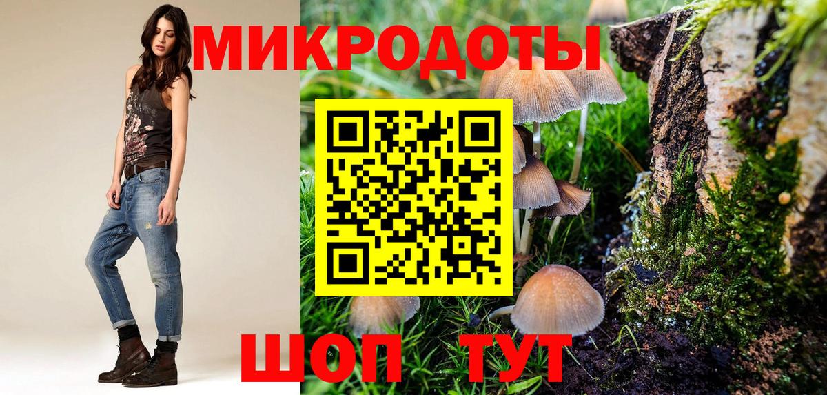 Псилоцибиновые грибы GOLDEN TEACHER Новокуйбышевск