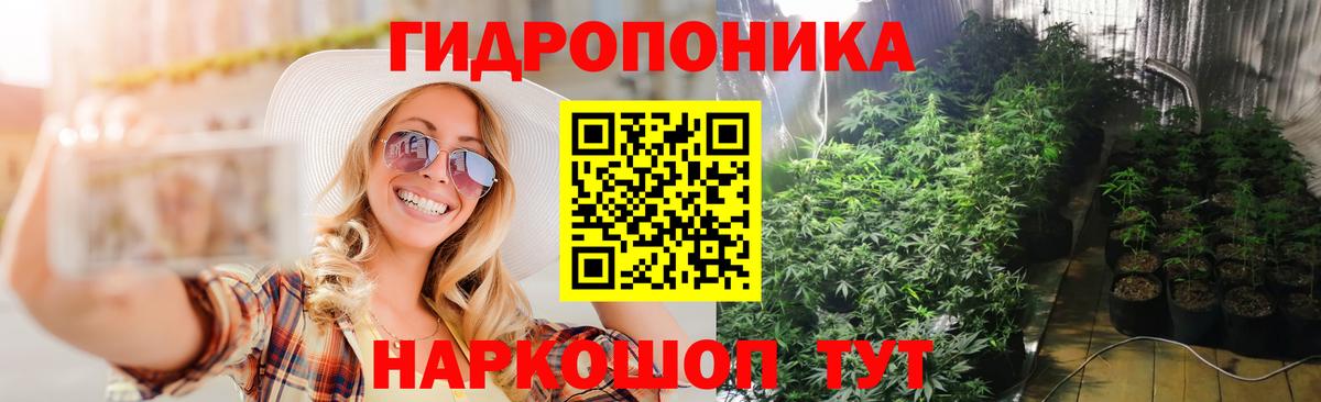 Бошки Шишки гибрид Новокуйбышевск
